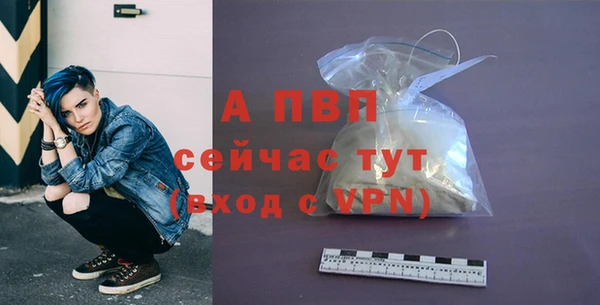 не бодяженный Бородино