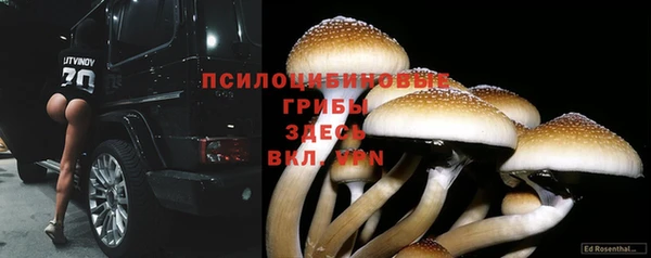 ПСИЛОЦИБИНОВЫЕ ГРИБЫ Бугульма
