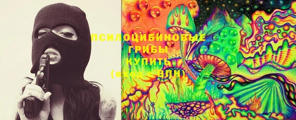 не бодяженный Бородино