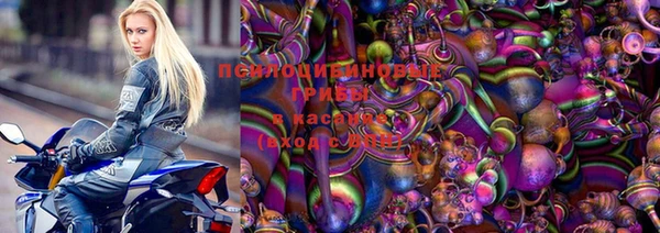 ПСИЛОЦИБИНОВЫЕ ГРИБЫ Бугульма