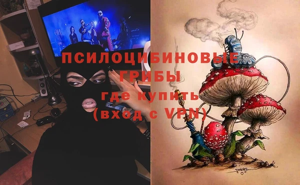 не бодяженный Бородино